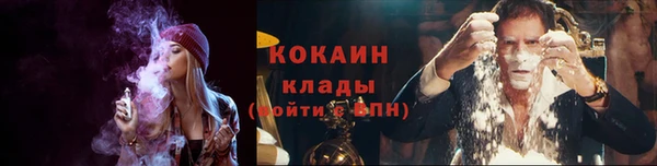 Альфа ПВП Каменка