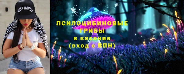 мет Инта