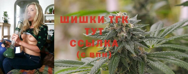 СК Каменногорск
