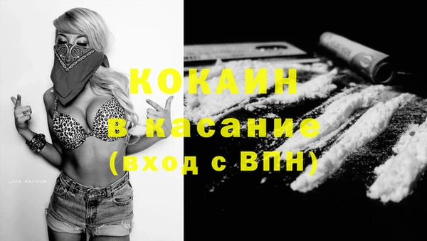 СК Каменногорск