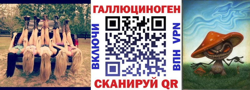 Купить где  Лесной  Псилоцибиновые грибы Magic Shrooms 